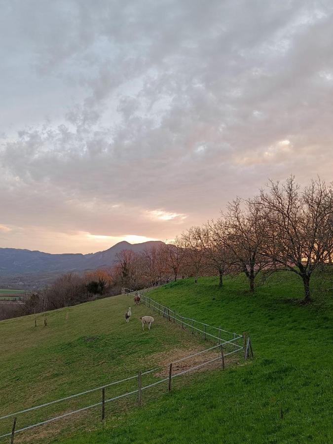 Le Perchoir Du Vercors - Panorama Sur Les Cimes Saint-André-en-Royans Dış mekan fotoğraf